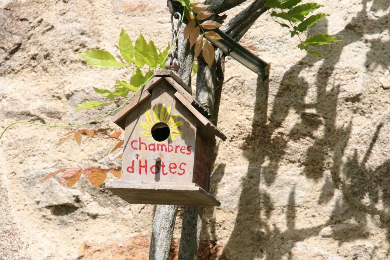 Bed and Breakfast Domaine Les Teuilleres Lacam-dʼOurcet Exterior foto